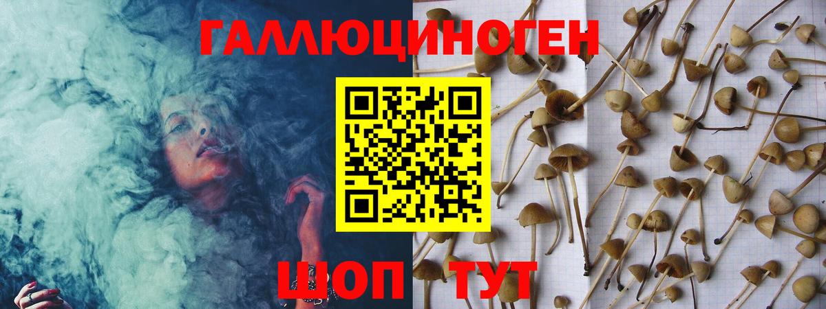 Галлюциногенные грибы мицелий  Мыски  Псилоцибиновые грибы MAGIC MUSHROOMS 